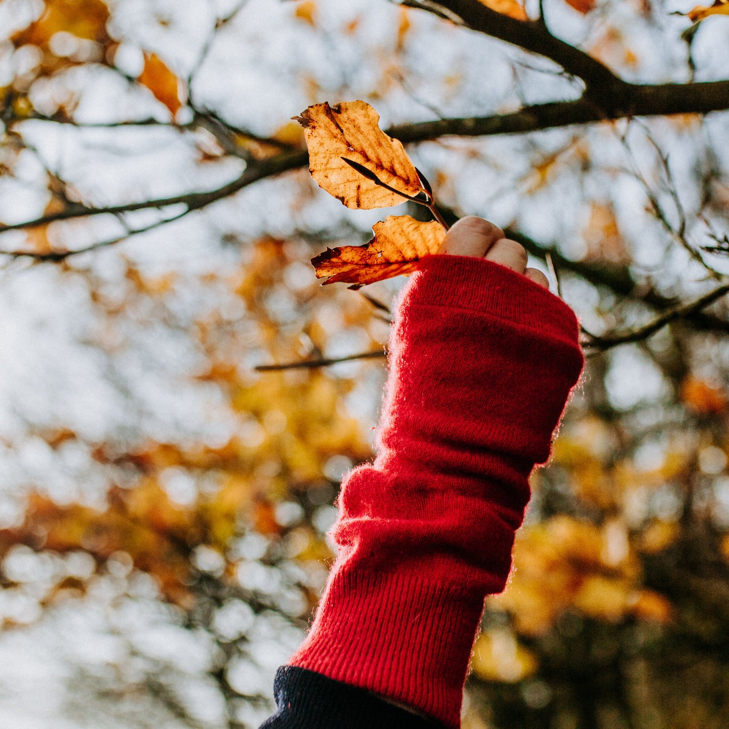100%recycled cashmere gloves Black blue