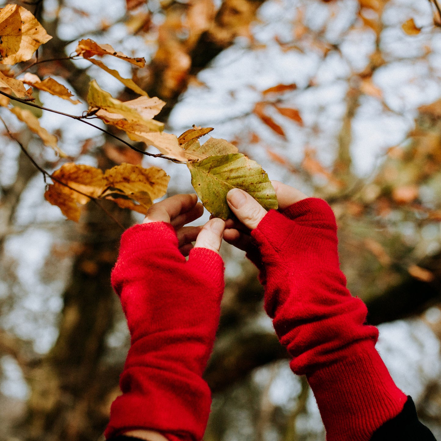 100%recycled cashmere gloves Black blue
